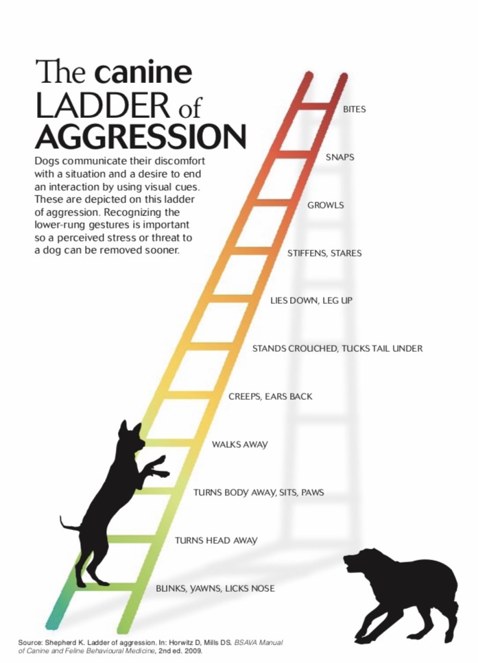 The Canine Ladder of Aggression Power Paws